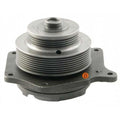 F87802496 Water Pump with Pulley - Fits Holland