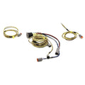 Godfrey Pontoon Boat Rocker Switch 259804 - Sanpan with Harnesses (kit)