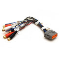 Polk Audio Boat RCA Adapter Harness UMZC4ADPT2 - Female Plug