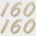Premier Pontoon Boat Decal - 160 Model Champagne Stickers (pair)