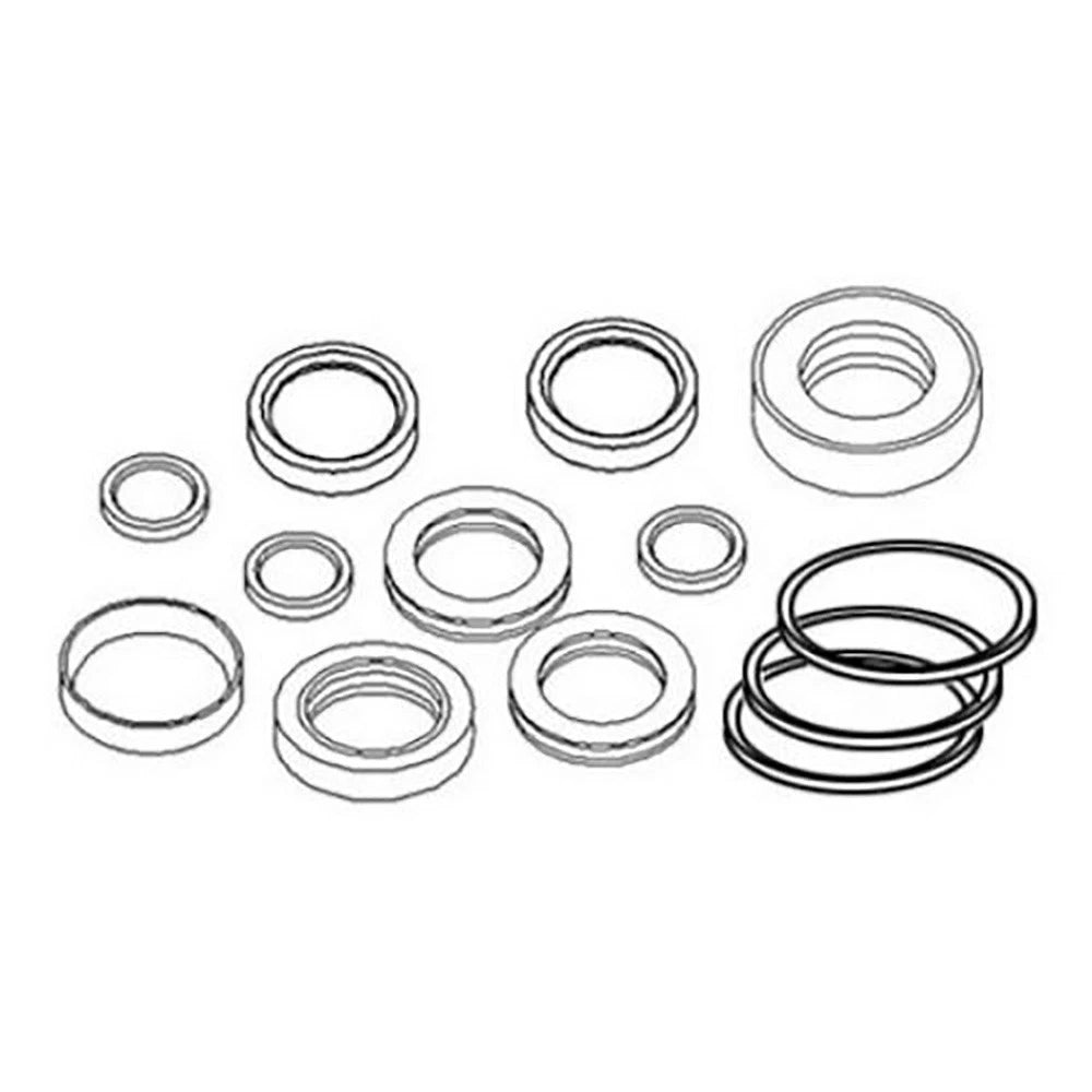 1606486M96 Lift Cylinder Seal Kit Fits Massey Ferguson Loader Model 32