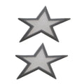 MasterCraft Boat Raised Decal Stickers - Star Emblem Silver (pair)