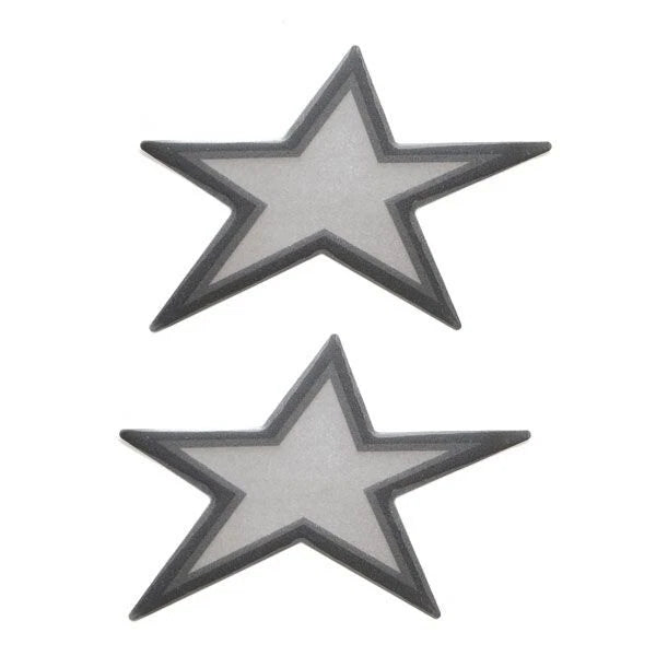 MasterCraft Boat Raised Decal Stickers - Star Emblem Silver (pair)