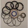 S.41281 Seal Kit, Boom Ram, 1607427M91 Fits Massey Ferguson