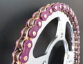 EK Chain ZVX3 NX-Ring 520 120L – Fits 2015-2016 Beta Motorcycle Models
