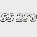 Lowe Boat Raised Decal 2258093 - SS250 Silver 9 1/4 X 2 1/8 Inch 2017