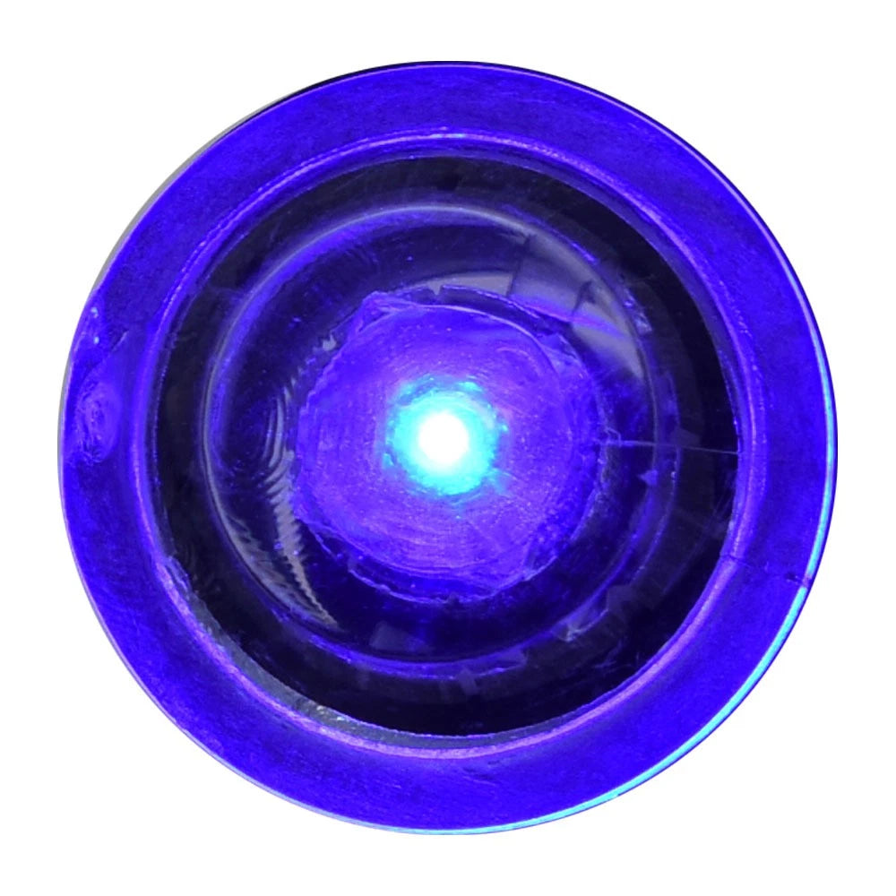 Cruisers Boat LED Livewell Light V2787800 - Blue 12V