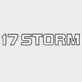 Lowe Boat Brand Decal 2099278 - 17 Storm Black White 10 1/4 Inch