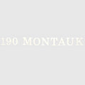 Boston Whaler Boat Raised Decal Sticker - Emblem 190 Montauk White