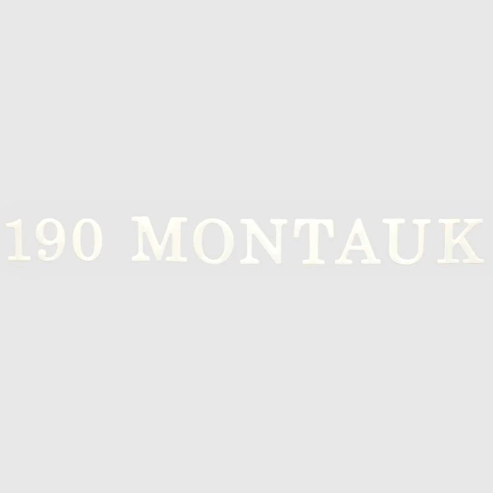 Boston Whaler Boat Raised Decal Sticker - Emblem 190 Montauk White