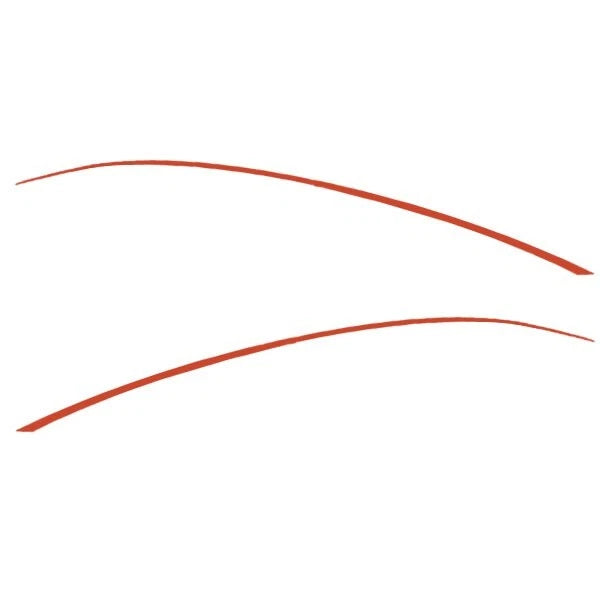 Tracker Boat Decals 165962 - 165963 - 154 X 2 1/8 Inch Red (set of 2)