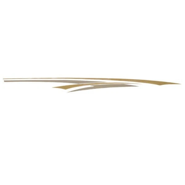 Tracker Boat PortSide Decal 103063 - 202 - 204 Gold Silver 78 1/2 Inch