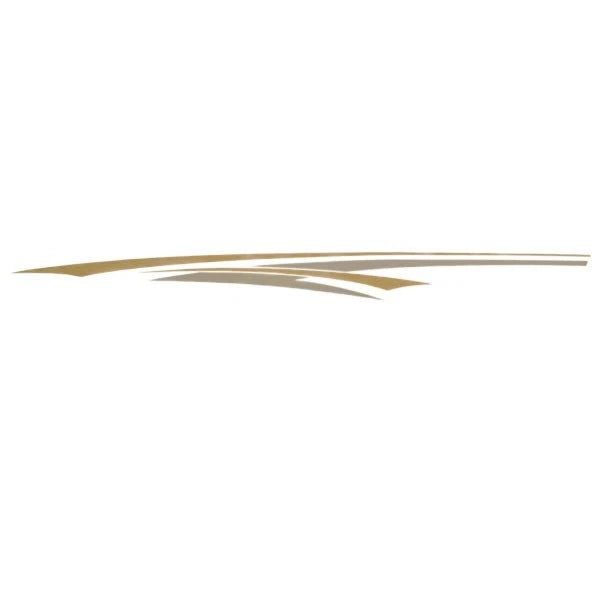 Tracker Boat Graphic Decal - Silver Gold Sticker (STBD)