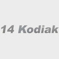 Lund Boat 14 Kodiak Decal 2007519 - Metallic Silver Sticker 10 3/4 Inch