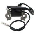 IGNITION COIL MAGNETO BAJA 5.5HP 6.5HP WARRIOR HEAT MB165 MB200 196CC PIT BIKE