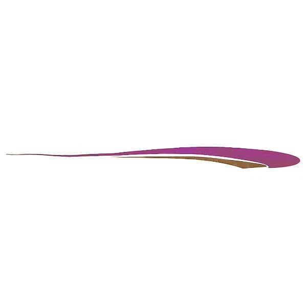 Rinker Boat Graphic Decal 218268 - Magenta - Gold Sticker