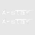 MasterCraft Boat Model Decals - XStar White Stickers (pair)
