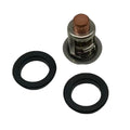Thermostat Kit for Johnson Evinrude 2 Stroke E250 J250 RJ250 5000355 18-3546