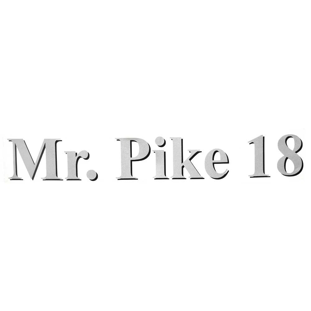 Lund Boat Model Decal 1986360 - Mr. Pike 18 Silver Sticker