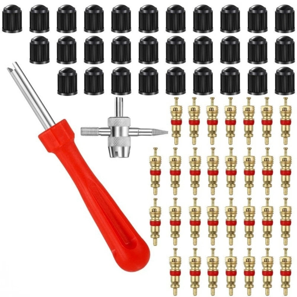 62pcs Tire Valve Core Tool Set for Auto Truck Motorcycle Tire Valve Stem Repair
