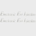Malibu EFI Boat Decals 229708 - Silver Stickers (pair)