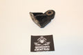 SEA-DOO GTX DI EXHAUST HEAD PIPE MUFFLER HEADER BRACKET SUPPORT