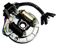 ESTATOR MAGNETO ROKETA COOLSTER SSR 70CC 90CC 110CC 125CC KICK START DIRT BIKE
