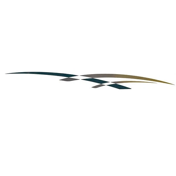 Rinker Boat Port Side Decal 218211 - VS811801-04-GR 110 X 10 Inch