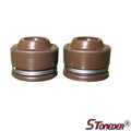 STONEDER Valve Stems for Z190 Zongshen 190cc 2V Engine Pit Dirt Bike