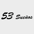 Hydrasports Boat Raised Decal 26052710 - 53 Suenos Silver Black