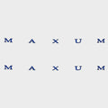 Maxum Boat Logo Decals - Blue Black Stickers (pair) 31 1/2 X 1 1/4