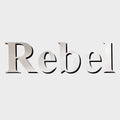 Lund Boat Model Decal 1986335 - Rebel Silver Sticker