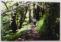 Vintage PHOTO Hiking Down a Path Just Off the California Coast