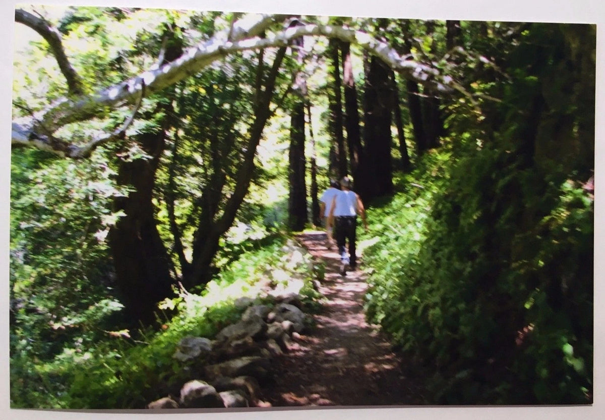 Vintage PHOTO Hiking Down a Path Just Off the California Coast