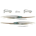 Lowe Boat Main Hull Decal 625517 - Suncruiser Green Gold (set of 7)