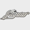 BassCat Boat Raised Emblem Decal - Jaguar Glossy Silver Vinyl