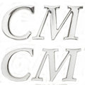 Palm Beach Pontoon Boat Raised Decals - CM Silver Stickers (pair)