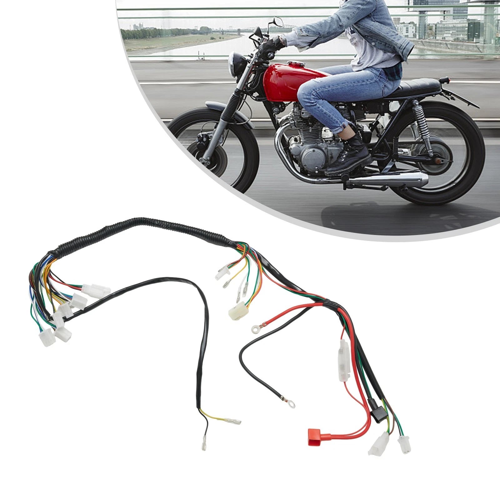 Quad-Wire Harness Stator Assembly Wiring 50 77cc 90cc 110cc for ATV UTV Electric