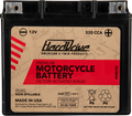 HardDrive Premium V-Twin Motorcycle Battery HRDM720GH – Fits Harley-Davidso N 12V
