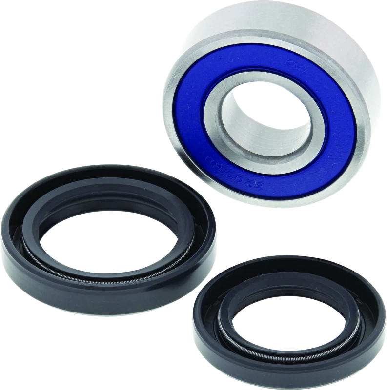 QuadBoss 06-09 Arctic CAT 250 2x4 Lower Steering Bearing Kit