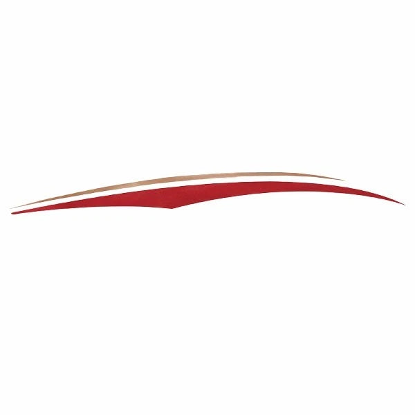 Tracker Boat Graphic Decal 144016 - Metallic Gold Red Sticker