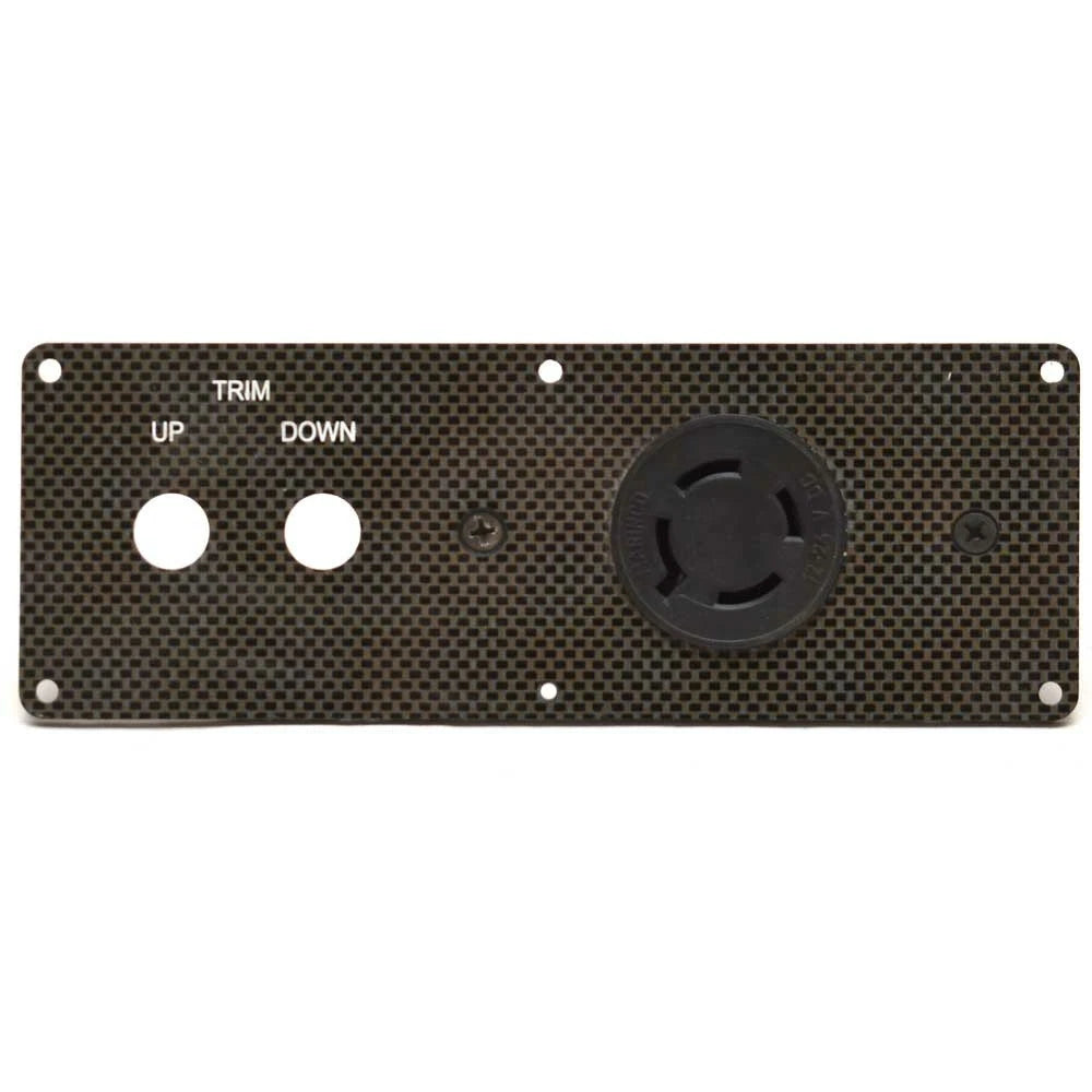 Bass CAT Boat Blank Dash Panel with Receptacle 140024 - Carbon Fiber