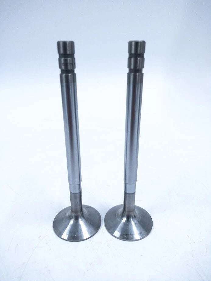 Volvo Penta 421016, Engine Valve, OEM - 2 Pack