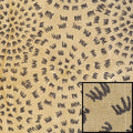 Boat Burlap Fabric - Crownline Motif Graphic 56" (yard)