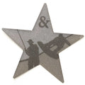 Chaparral Boat Raised Star Decal 14.00839 - 19 H2O Fish Ski Silver