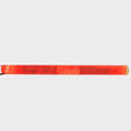Bass CAT Boat Illuminated Handrail - Red 1 1/4 X 16 3/4 Inch with Logo (STBD)