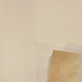 Supra Boat 1/8 Foam Back Vinyl 112002 - Brillant White 54 Inch (YD)