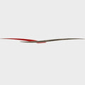 Tracker Boat Graphic Decal 174737 - 172 1/4 X 9 1/2 Inch Red Gray