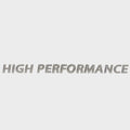 Lowe Boat Raised Model Decal 2147344 - High Performance Silver Emblem