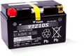 Yuasa YTZ10S Maintenance Free AGM 12-Volt Battery
